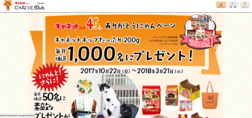 キャネットチップ45thありがとうにゃんペーン 懸賞ネコ